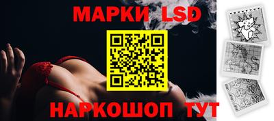 индика Обь