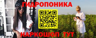 шишки Пенза