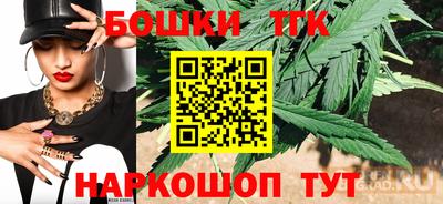 индика Обь