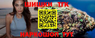 индика Обь
