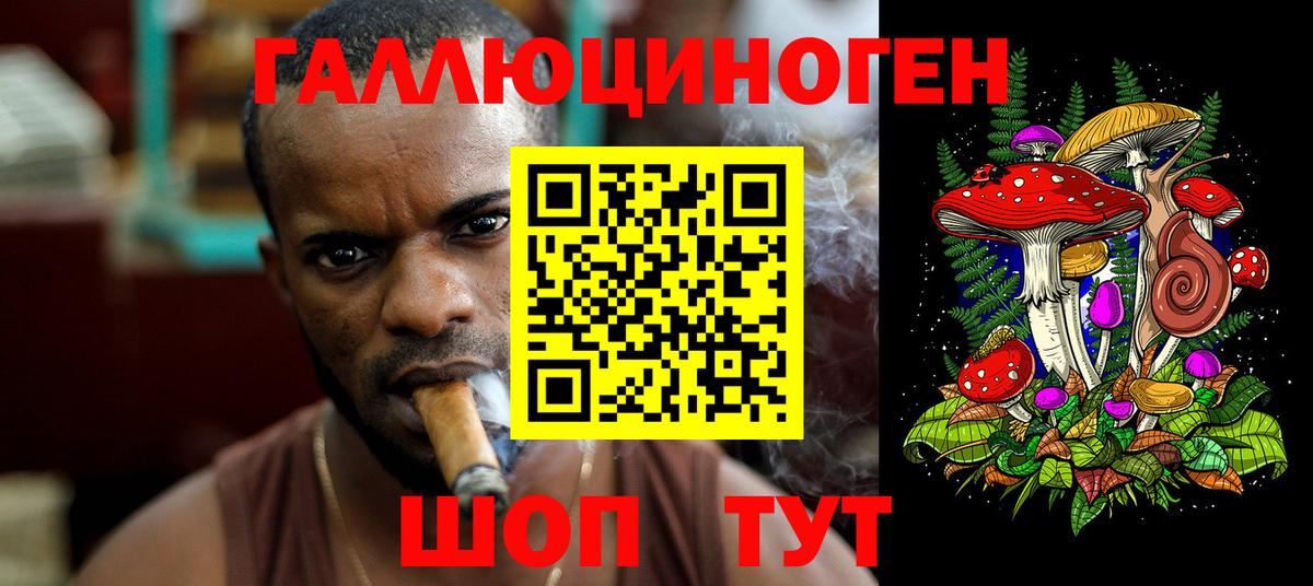 Прохладный  Псилоцибиновые грибы мицелий  Вход с VPN  Псилоцибиновые грибы прущие грибы 