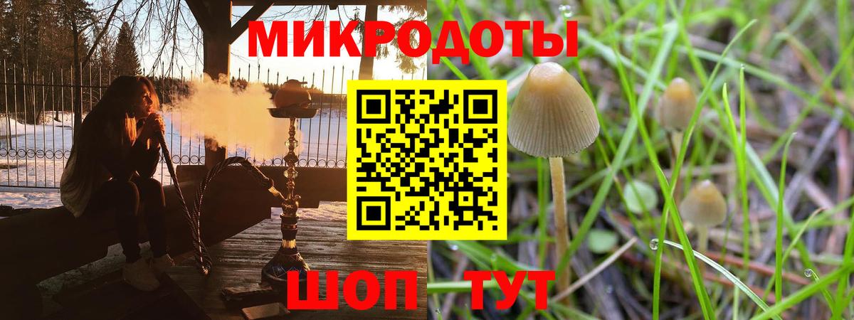 Псилоцибиновые грибы Psilocybine cubensis Прохладный